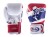 Fairtex Rękawice bokserskie BGV1 thai flag "Thai Pride" BOX