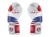 Fairtex Rękawice bokserskie BGV1 thai flag "Thai Pride" BOX
