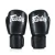 Fairtex Rękawice bokserskie BGV27 (black)