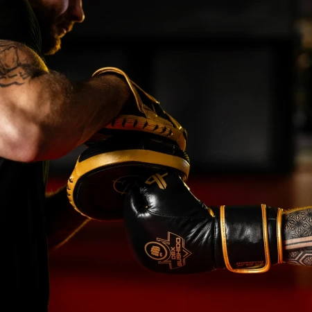DBX Bushido Rękawice bokserskie wielowarstwowe - ProFighter Gold - Legacy Series