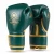 pol_pl_Rekawice-bokserskie-wielowarstwowe-ProFighter-Emerald-Legacy-Series-DBX-Bushido-3715_1.webp