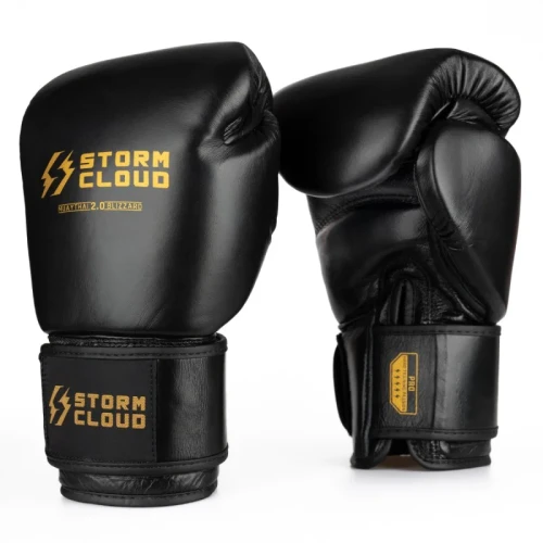 StormCloud Rękawice Muay Thai Blizzard 2.0 - czarne
