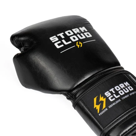 StormCloud Rękawice bokserskie Elite Boxing Vanguard - czarne