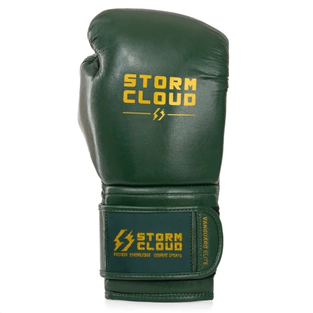 StormCloud Rękawice bokserskie Elite Boxing Vanguard - zielone