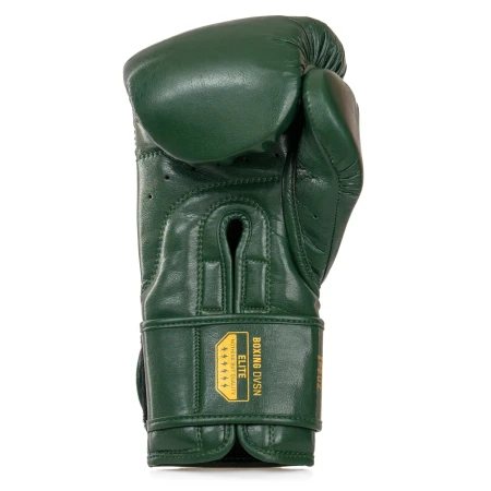 StormCloud Rękawice bokserskie Elite Boxing Vanguard - zielone