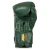 StormCloud Rękawice bokserskie Elite Boxing Vanguard - zielone