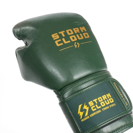 StormCloud Rękawice bokserskie Elite Boxing Vanguard - zielone