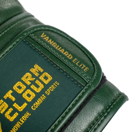 StormCloud Rękawice bokserskie Elite Boxing Vanguard - zielone