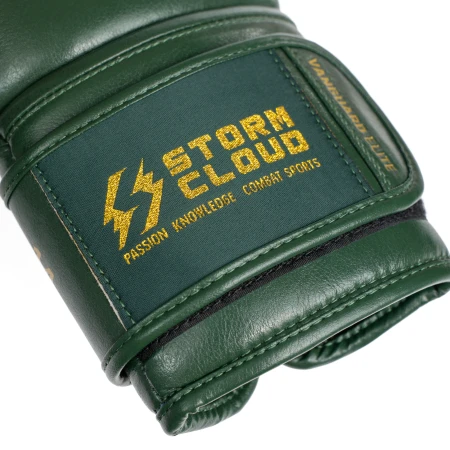 StormCloud Rękawice bokserskie Elite Boxing Vanguard - zielone