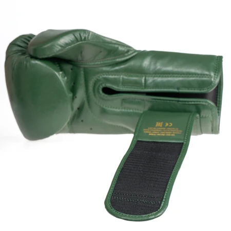 StormCloud Rękawice bokserskie Elite Boxing Vanguard - zielone