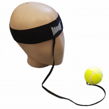 FIGHTBALL.jpg