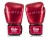 bgv22_red-2.jpg