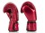 bgv22_red-3.jpg