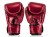 bgv22_red-4.jpg