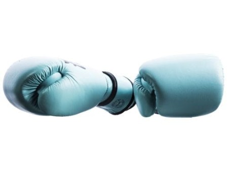 RĘKAWICE BOKSERSKIE FAIRTEX BGV20 4.jpeg