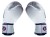 Fairtex Rękawice bokserskie BGV19 - white