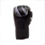 stormcloud-rekawice-bokserskie-boxing-pro-daisho-fujin-raijin10.webp